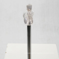 Wholesale custom made elegant transparent adult manikin foot display plastic mannequin feet